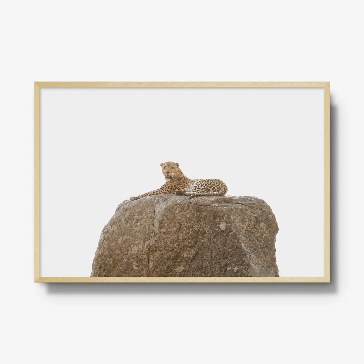 The Pedestal — gallery / natural / full