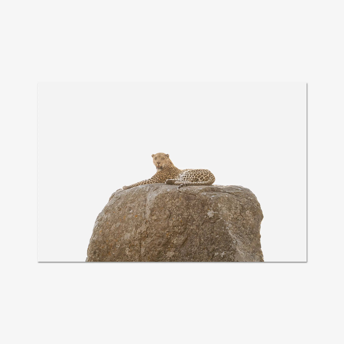 The Pedestal — gallery / print / n/a