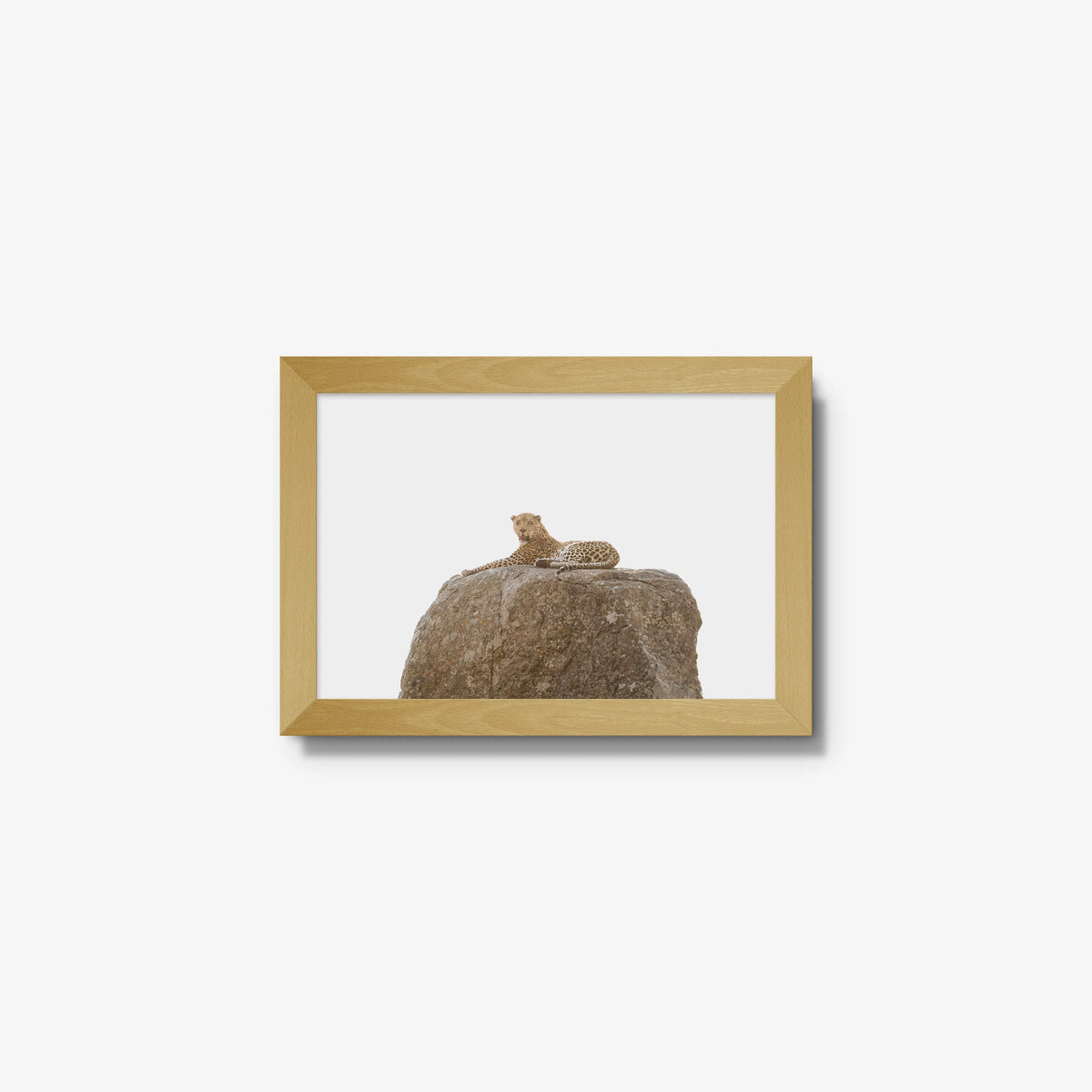 The Pedestal — mini / natural / full