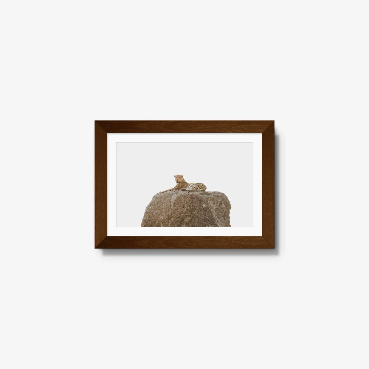 The Pedestal — mini / brown / mat