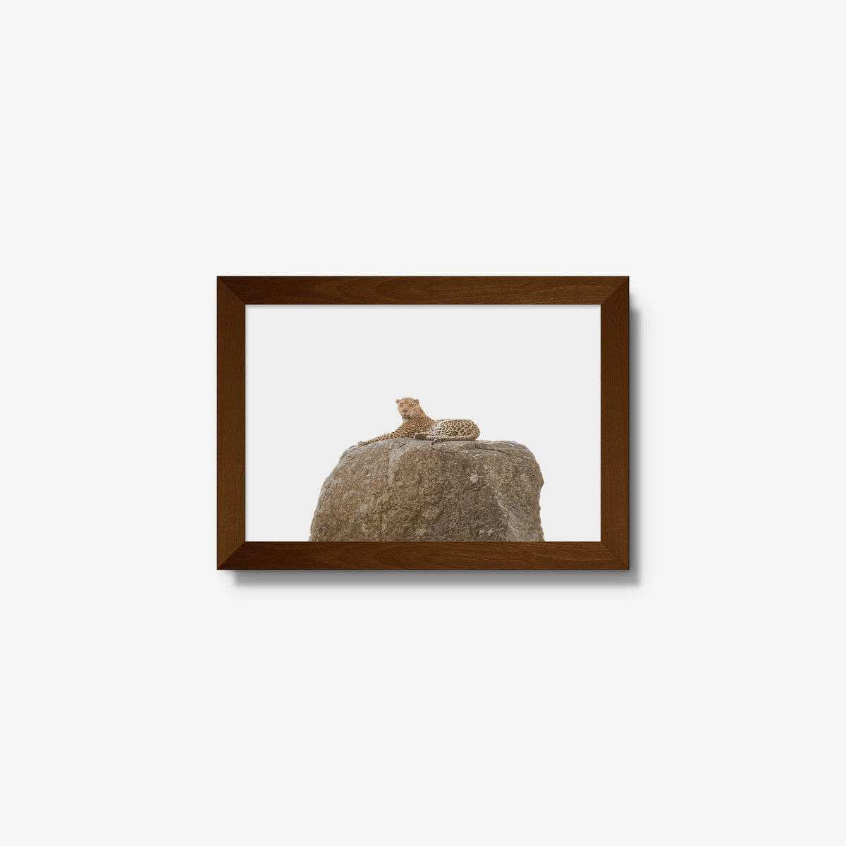 The Pedestal — mini / brown / full