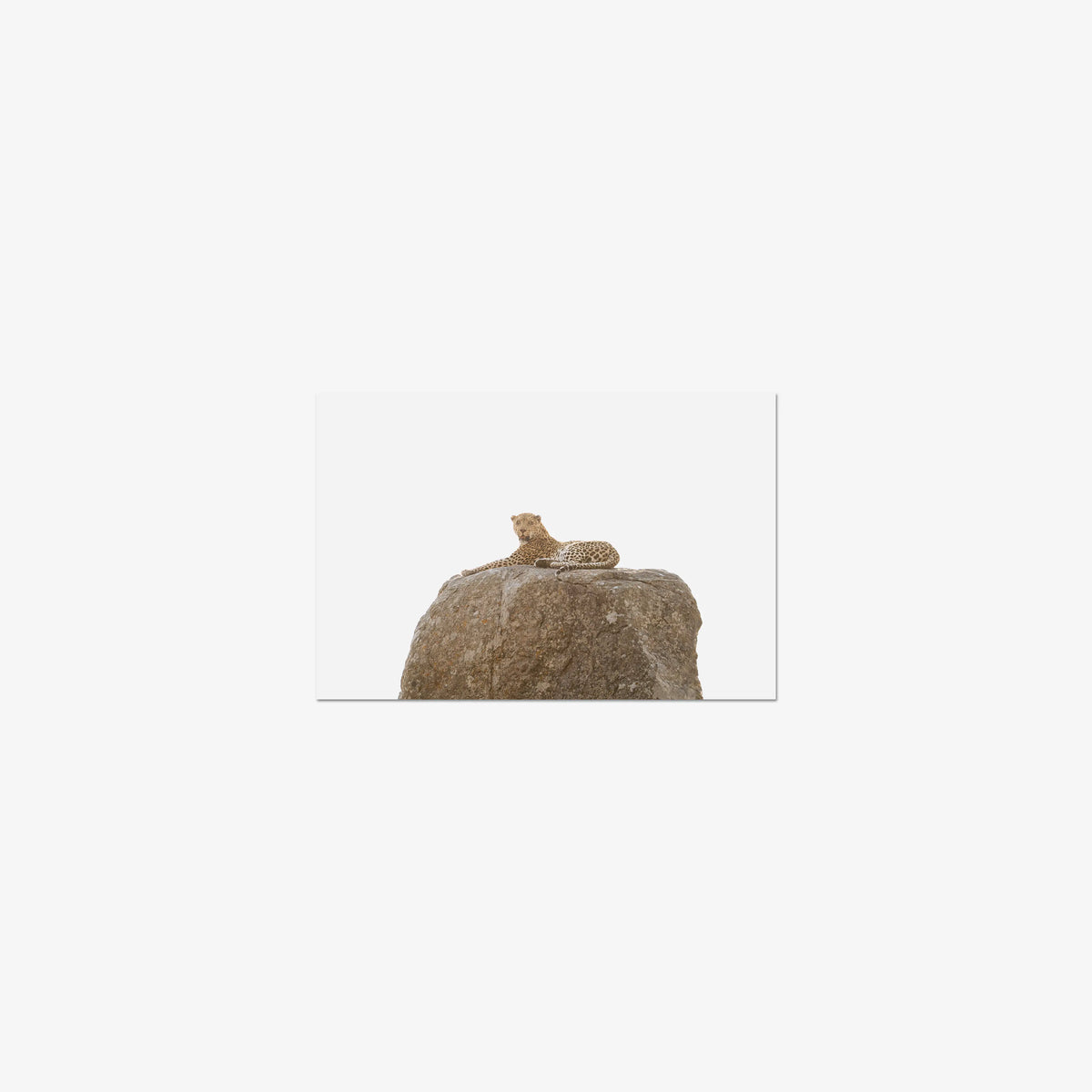 The Pedestal — mini / print / n/a
