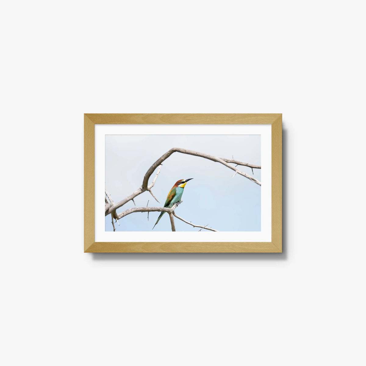 Delicate Balance — small / natural / mat
