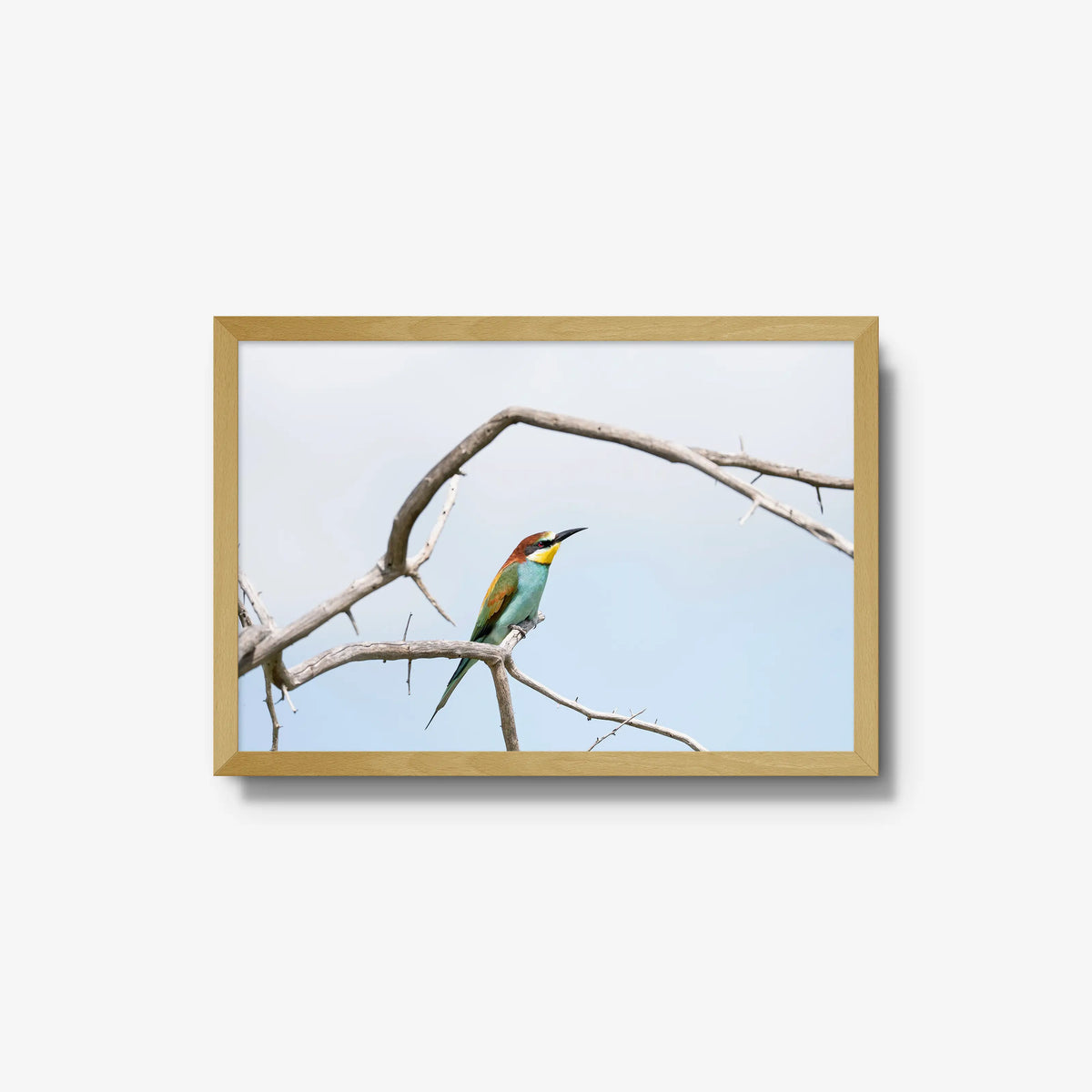 Delicate Balance — medium / natural / full