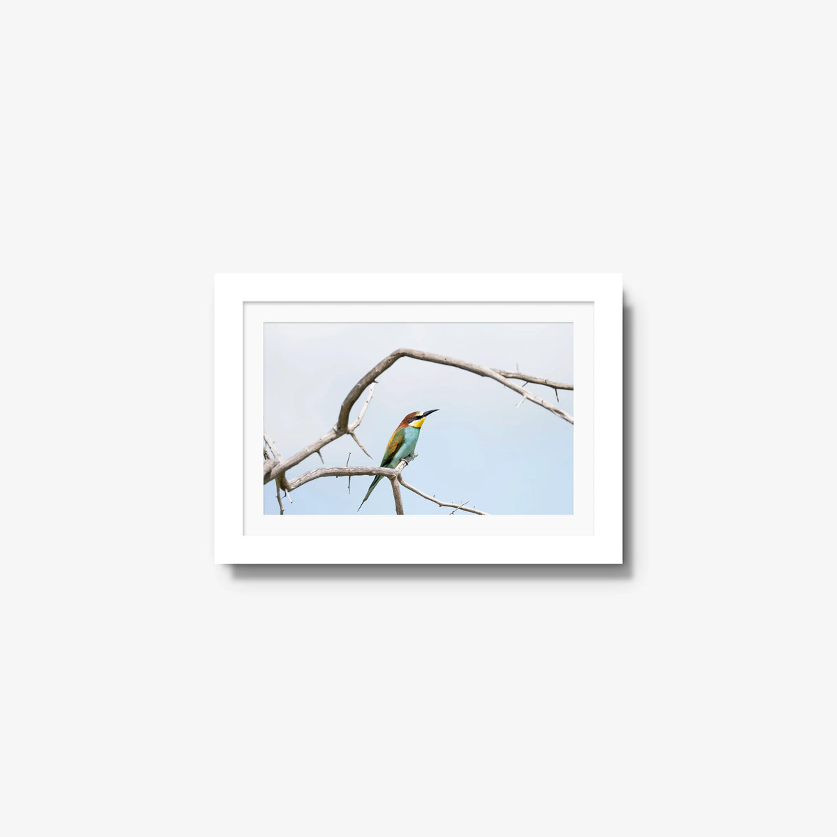 Delicate Balance — mini / white / mat