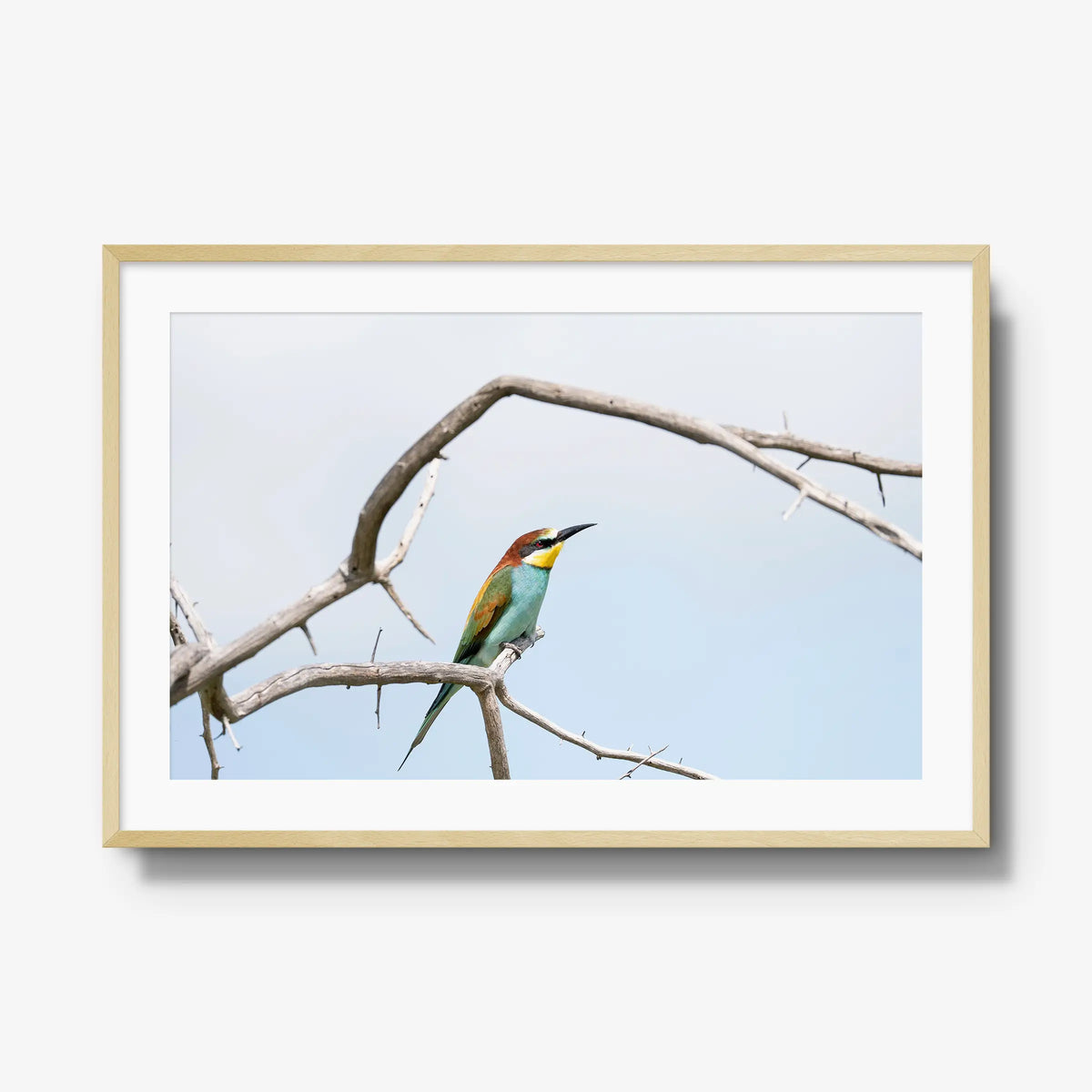 Delicate Balance — gallery / natural / mat