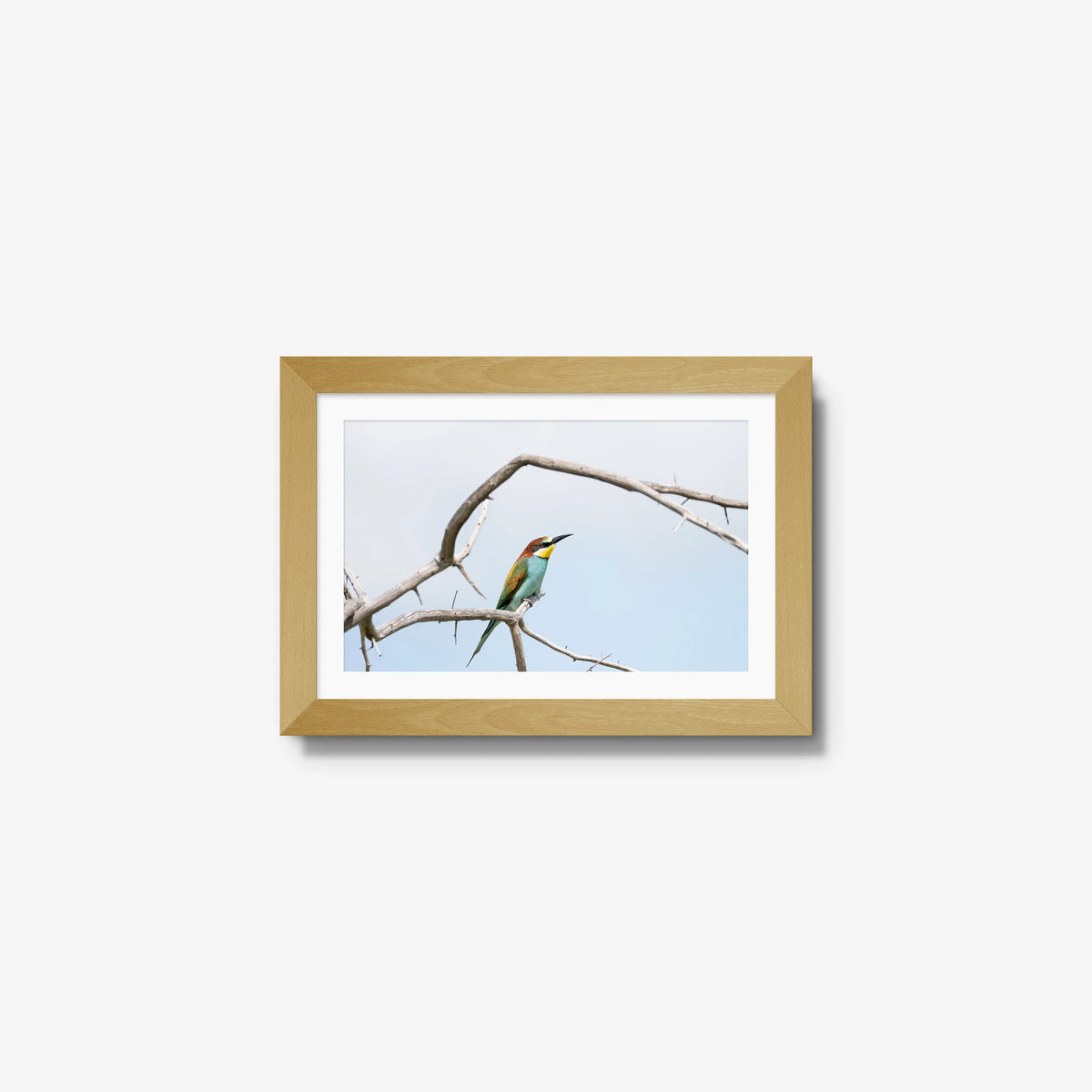 Delicate Balance — mini / natural / mat