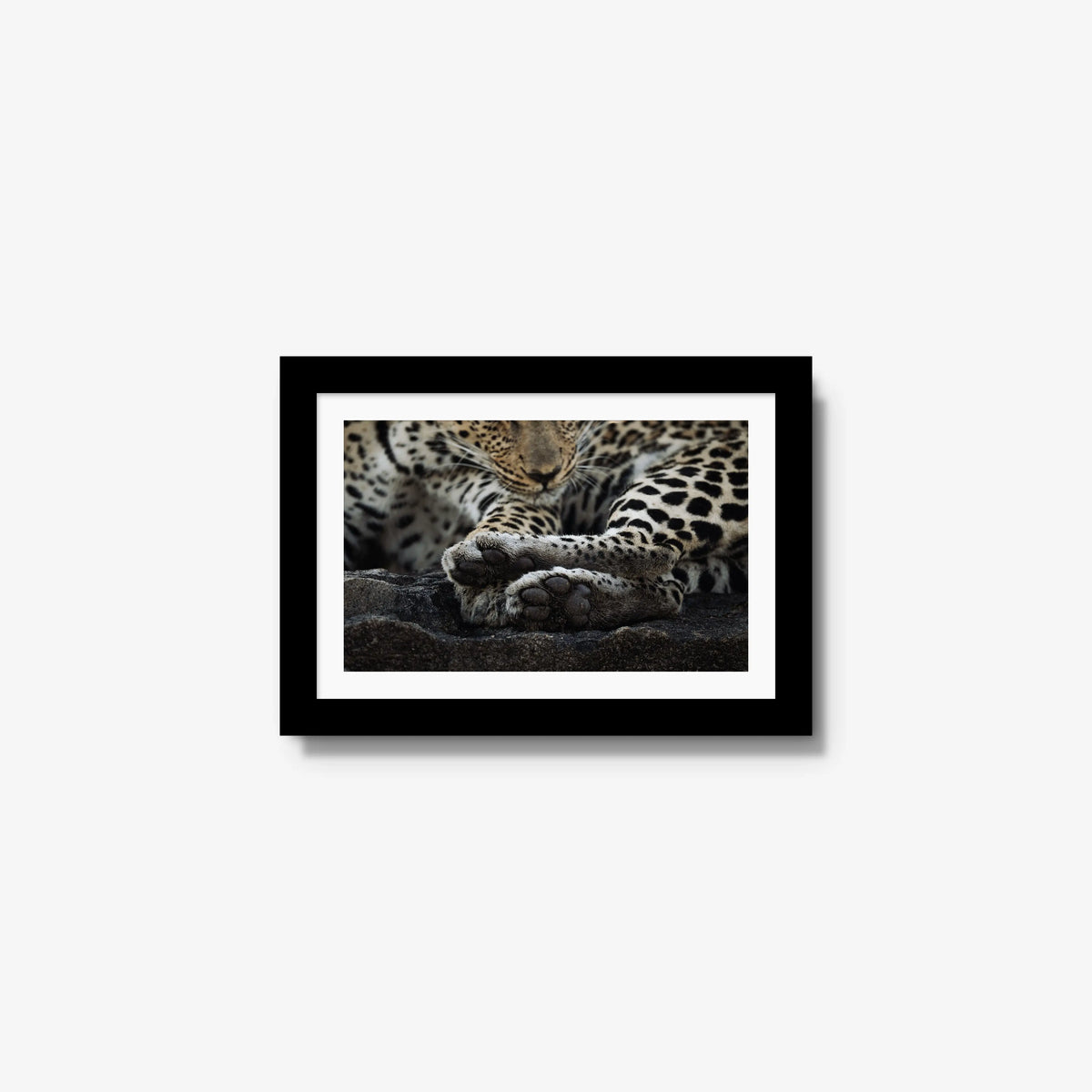 Dormant — mini / black / mat