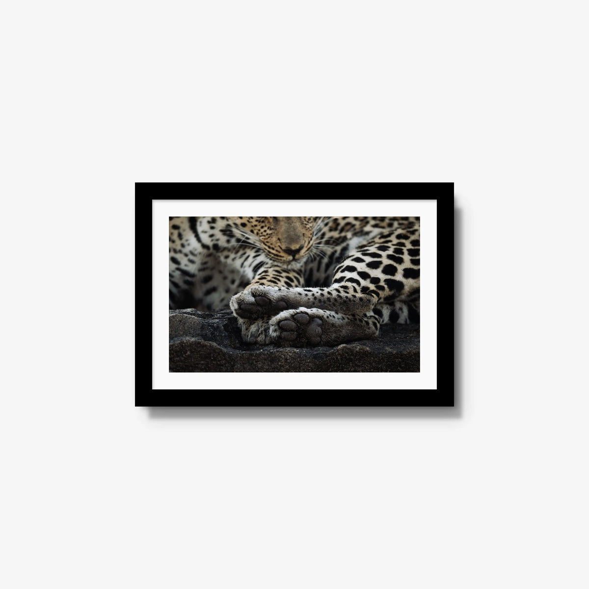 Dormant — small / black / mat