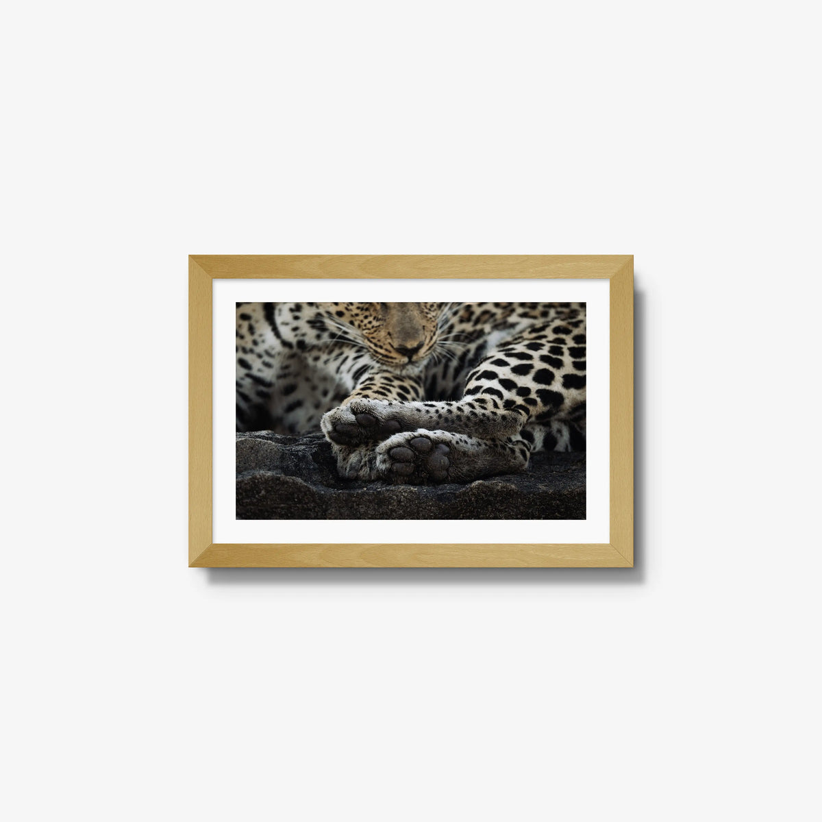 Dormant — small / natural / mat