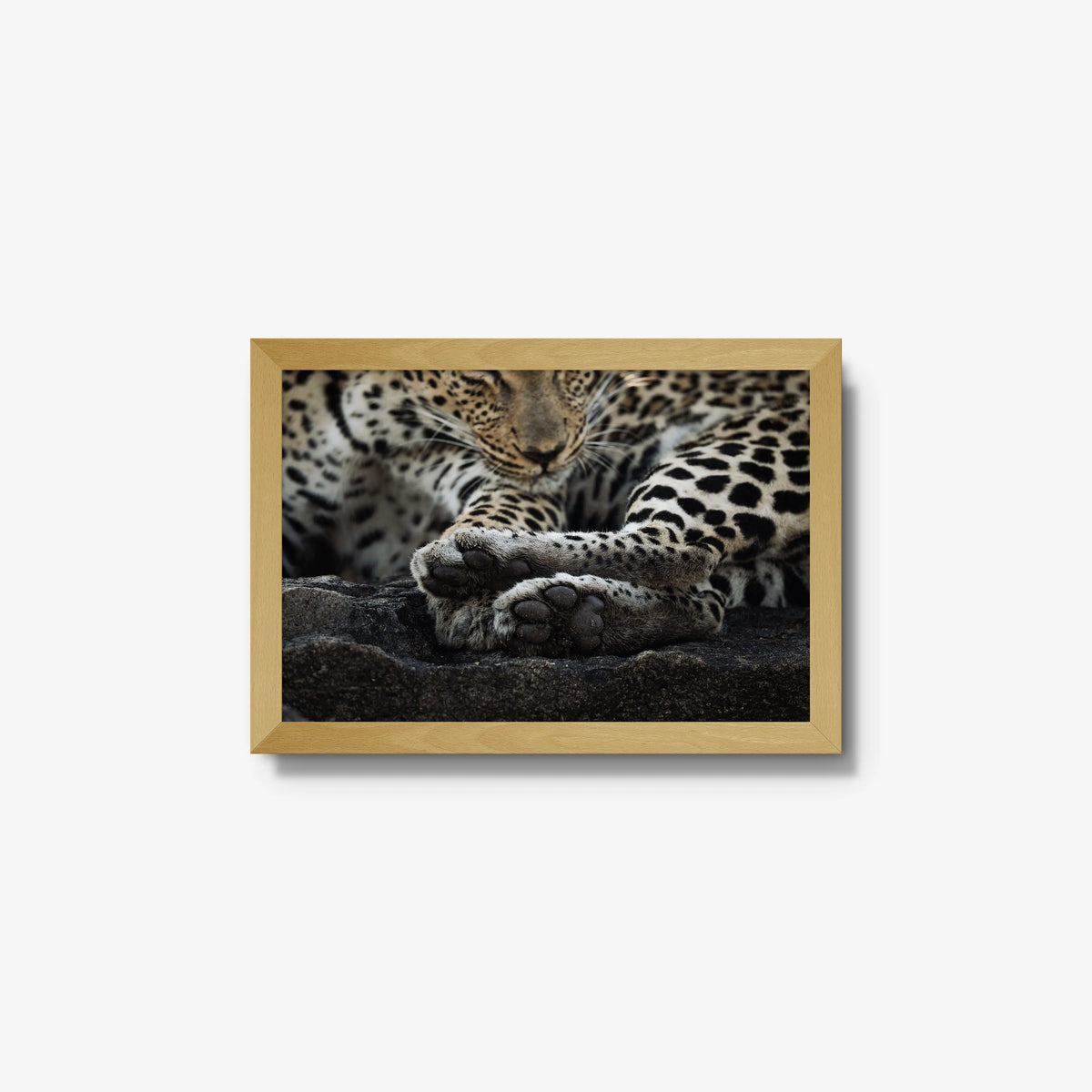 Dormant — small / natural / full