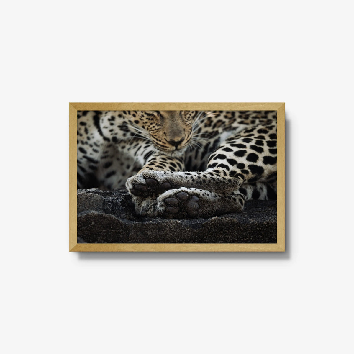 Dormant — medium / natural / full