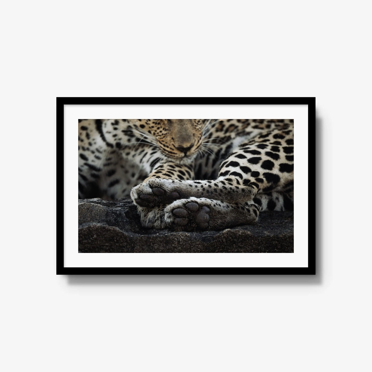 Dormant — large / black / mat