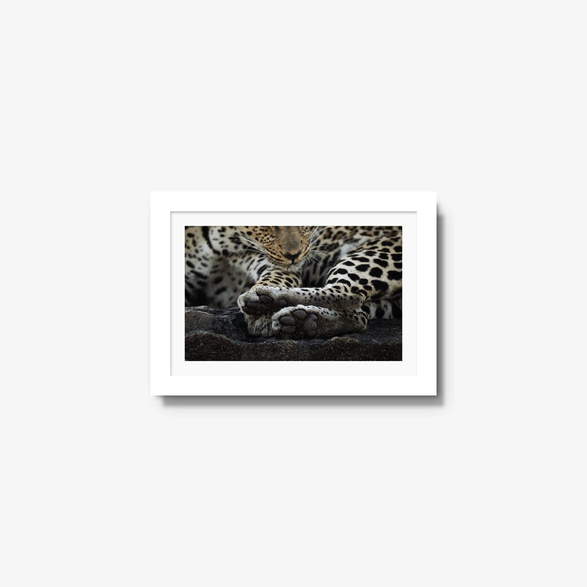 Dormant — mini / white / mat