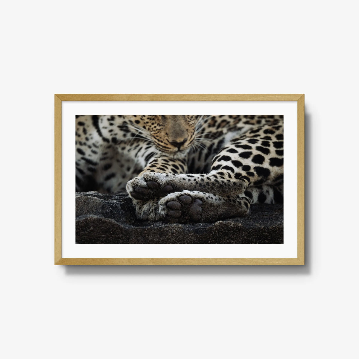 Dormant — large / natural / mat