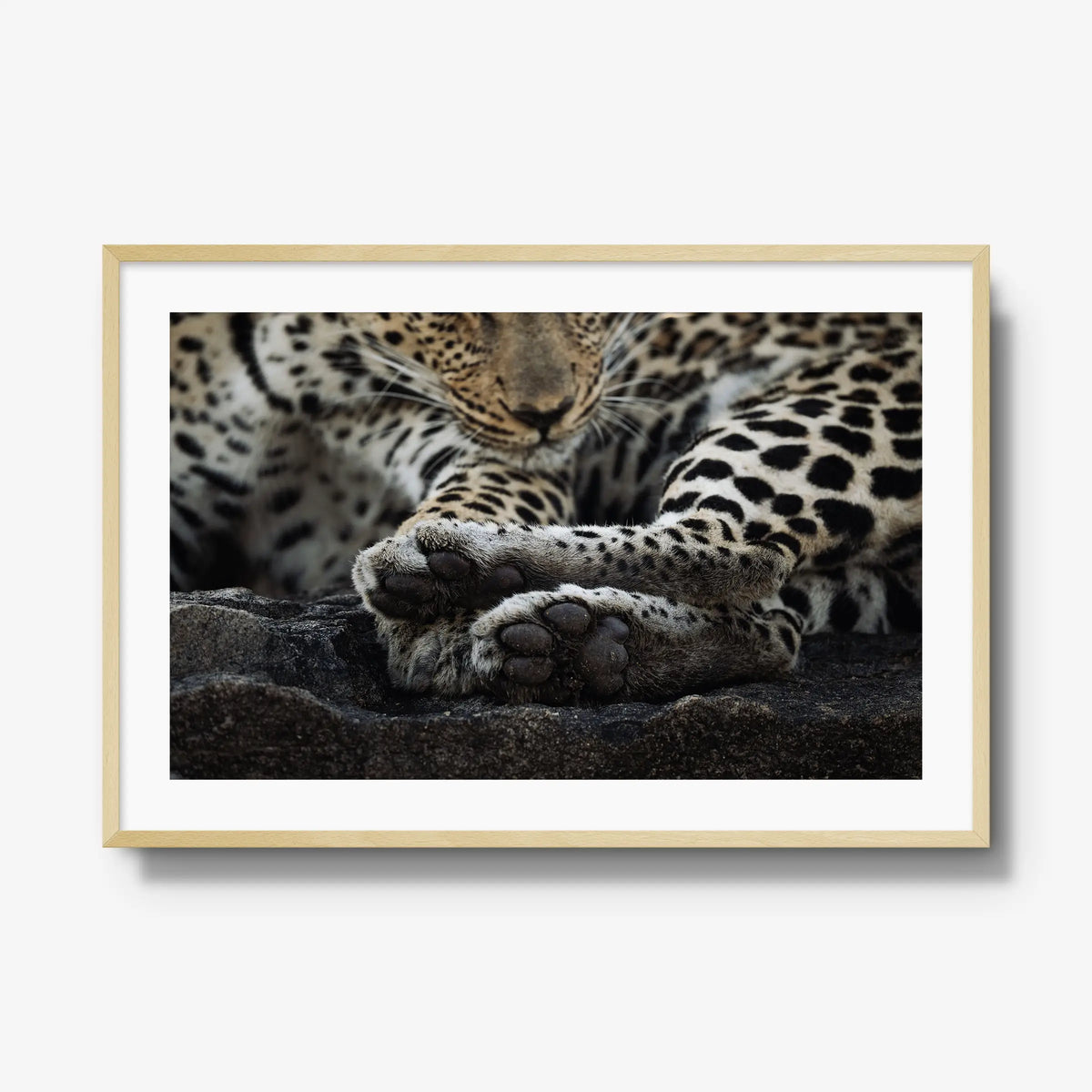 Dormant — gallery / natural / mat