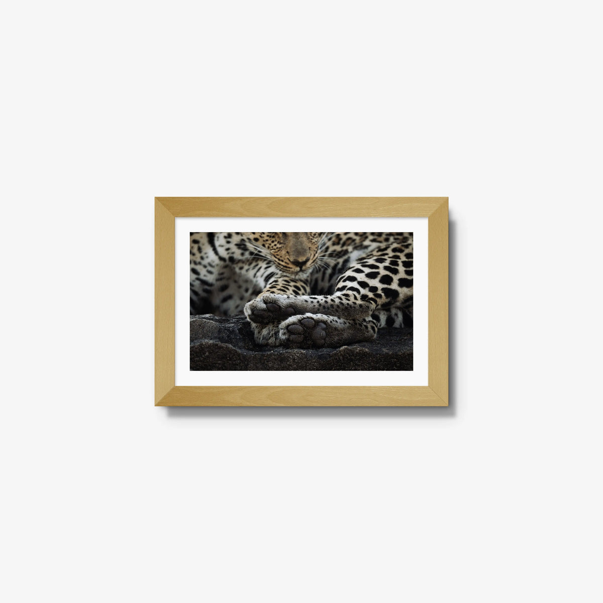 Dormant — mini / natural / mat