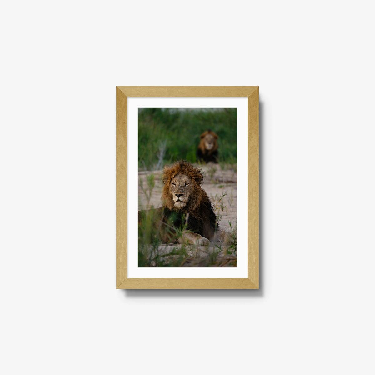 Coalition — small / natural / mat