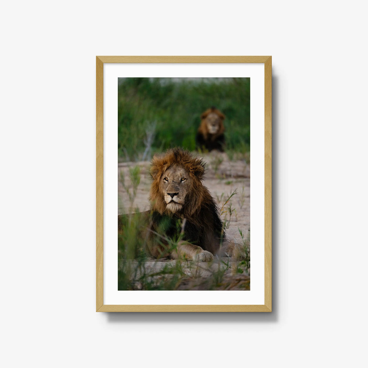 Coalition — large / natural / mat