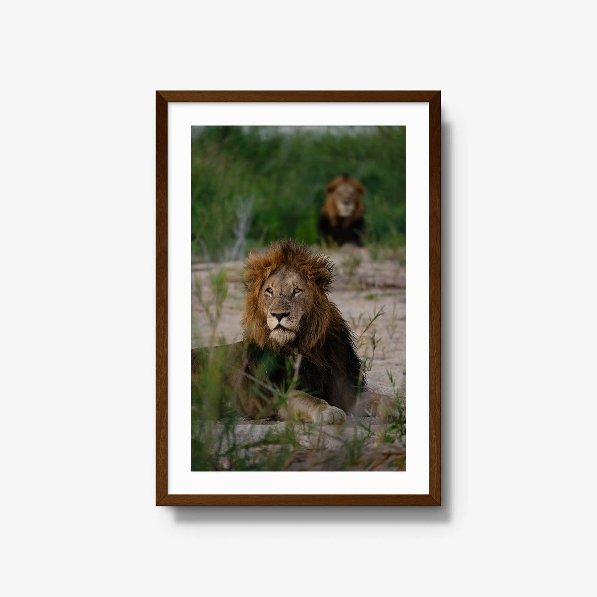 Coalition — large / brown / mat