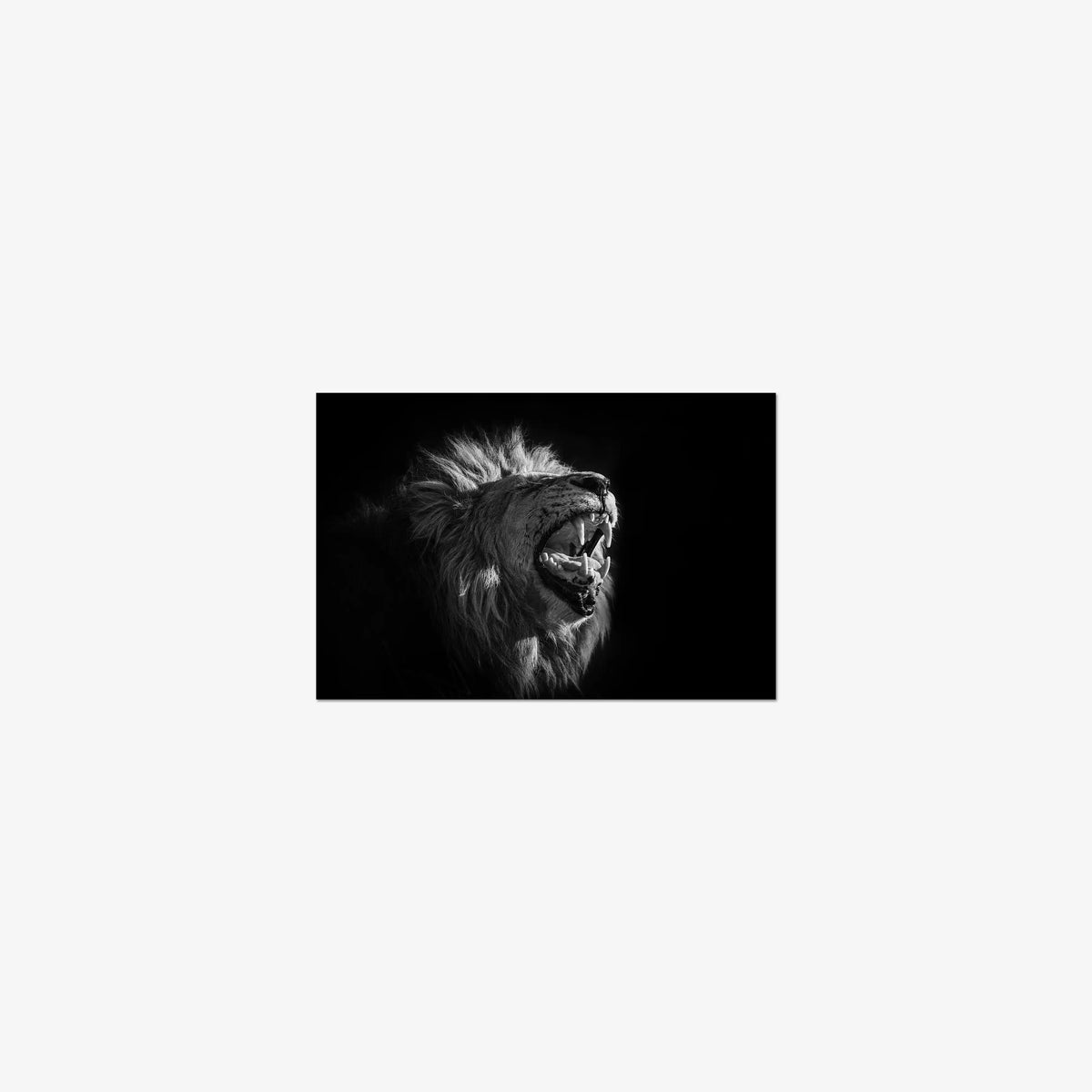 Head of House — mini / print / n/a