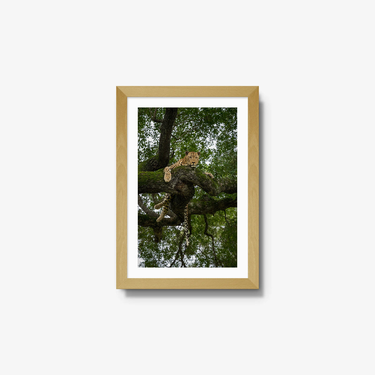Held by the Branch — small / natural / mat
