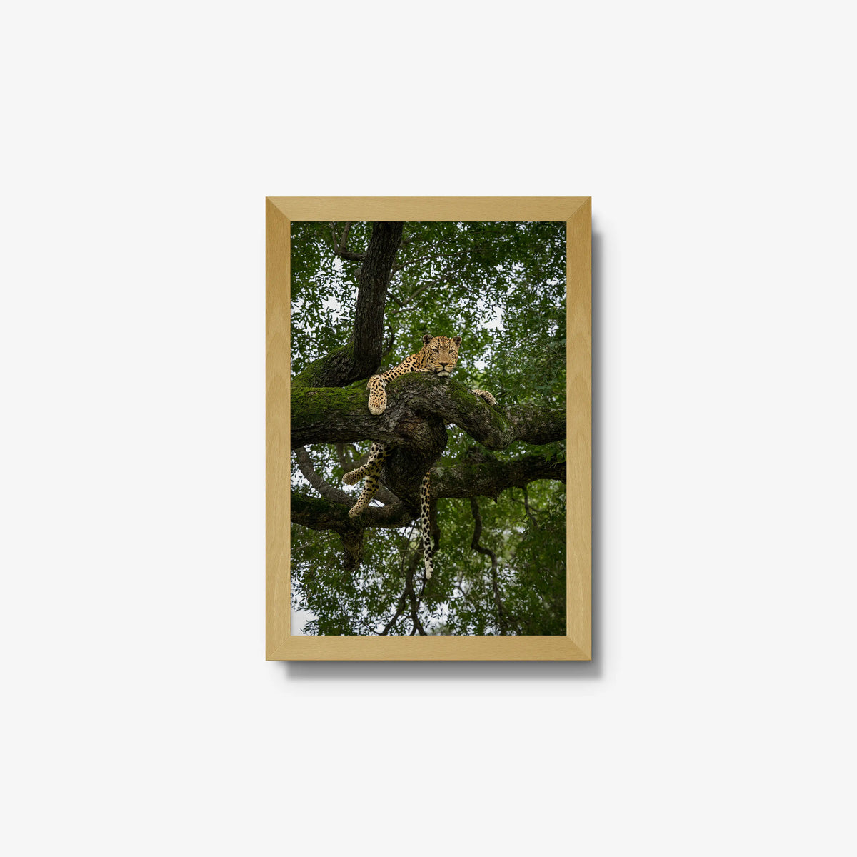 Held by the Branch — small / natural / full