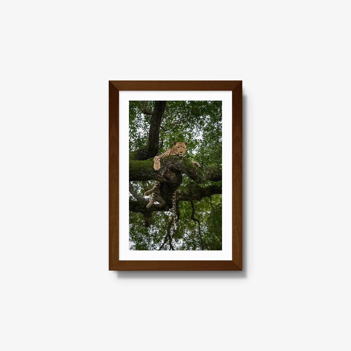 Held by the Branch — small / brown / mat