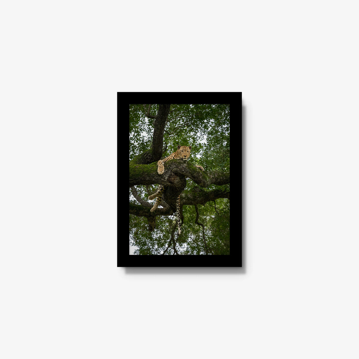 Held by the Branch — mini / black / full