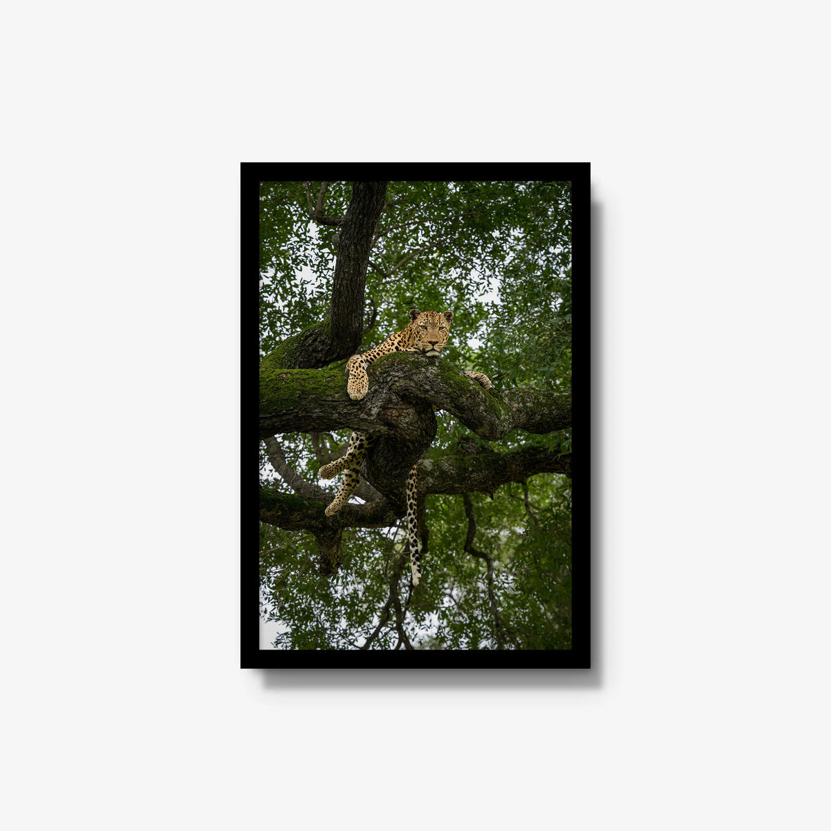 Held by the Branch — medium / black / full