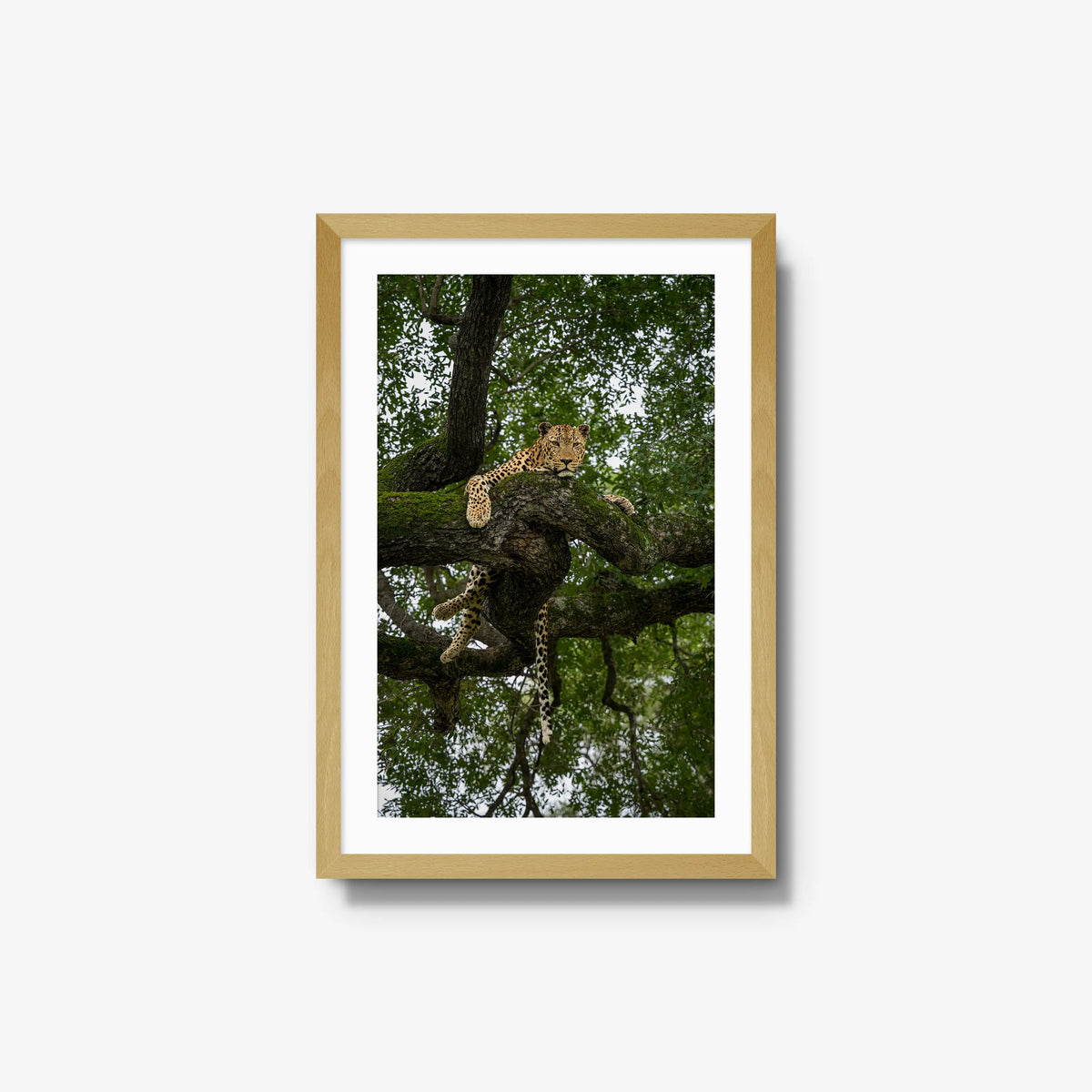 Held by the Branch — medium / natural / mat