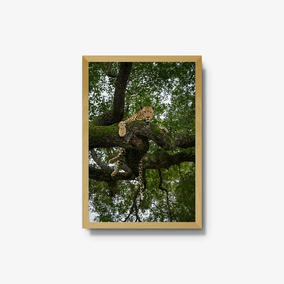 Held by the Branch — medium / natural / full