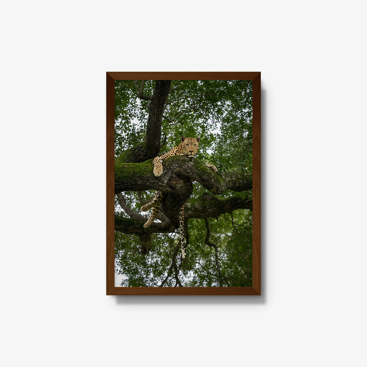 Held by the Branch — medium / brown / full