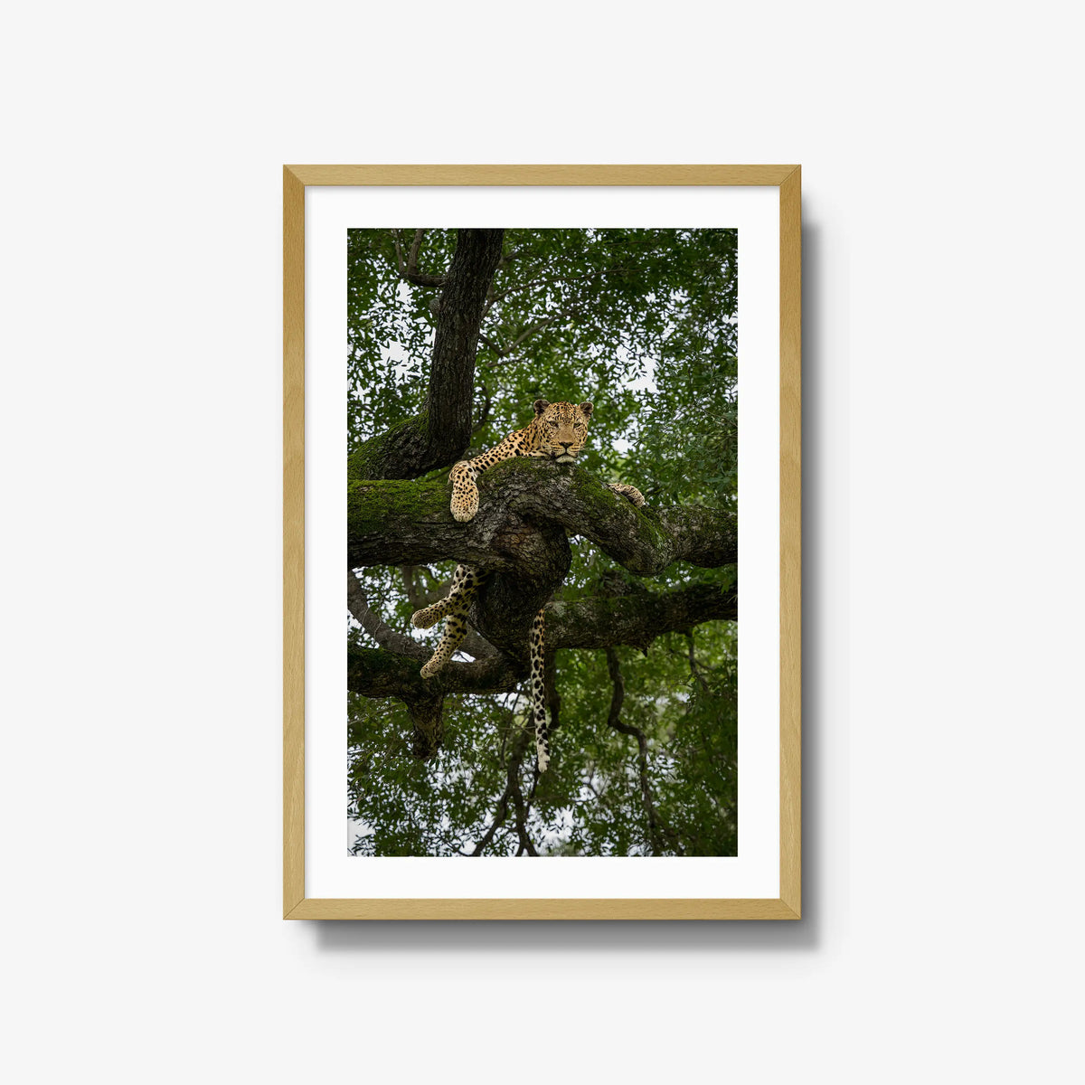 Held by the Branch — large / natural / mat