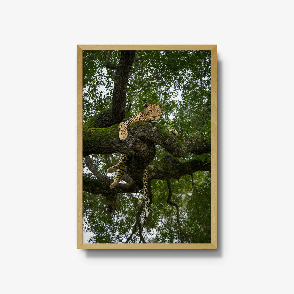 Held by the Branch — large / natural / full