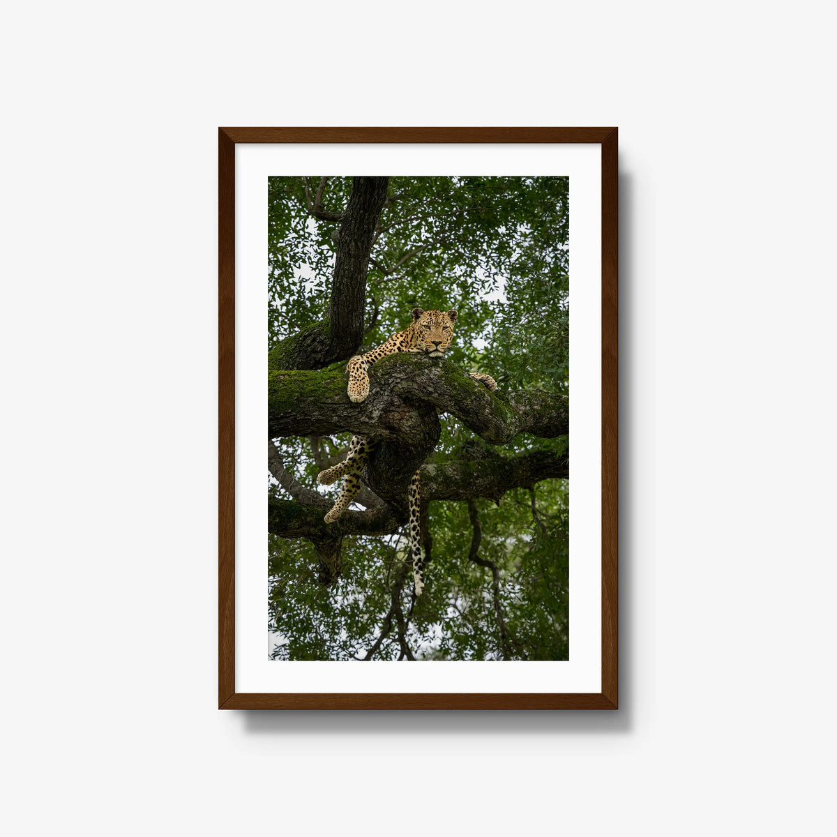 Held by the Branch — large / brown / mat