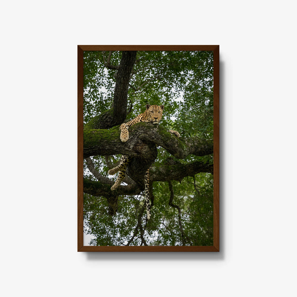 Held by the Branch — large / brown / full
