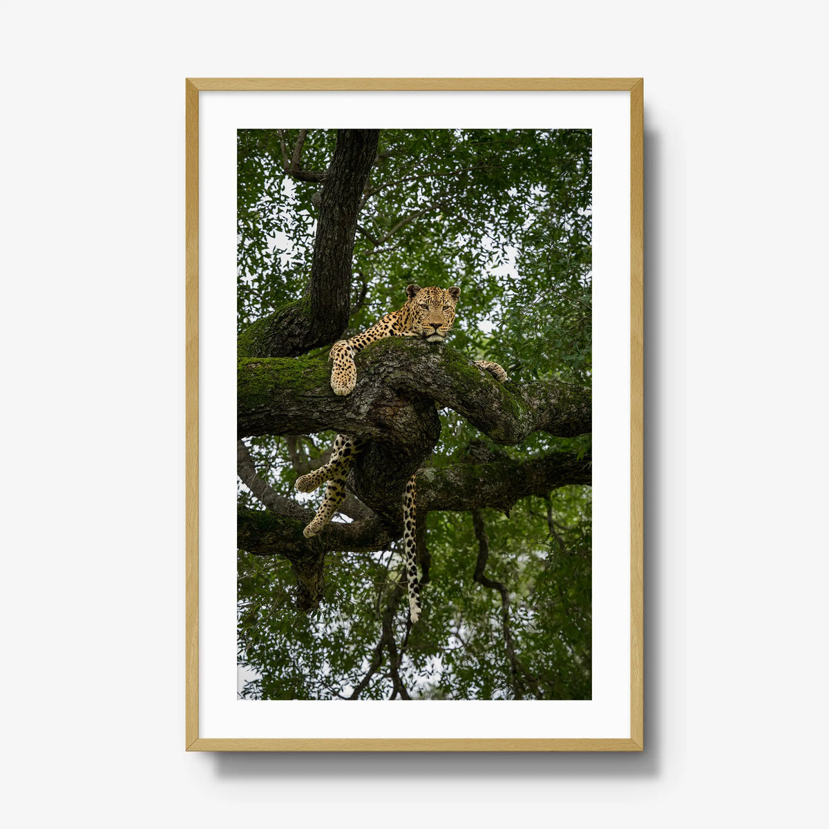 Held by the Branch — gallery / natural / mat