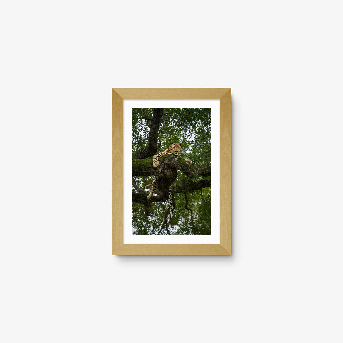 Held by the Branch — mini / natural / mat