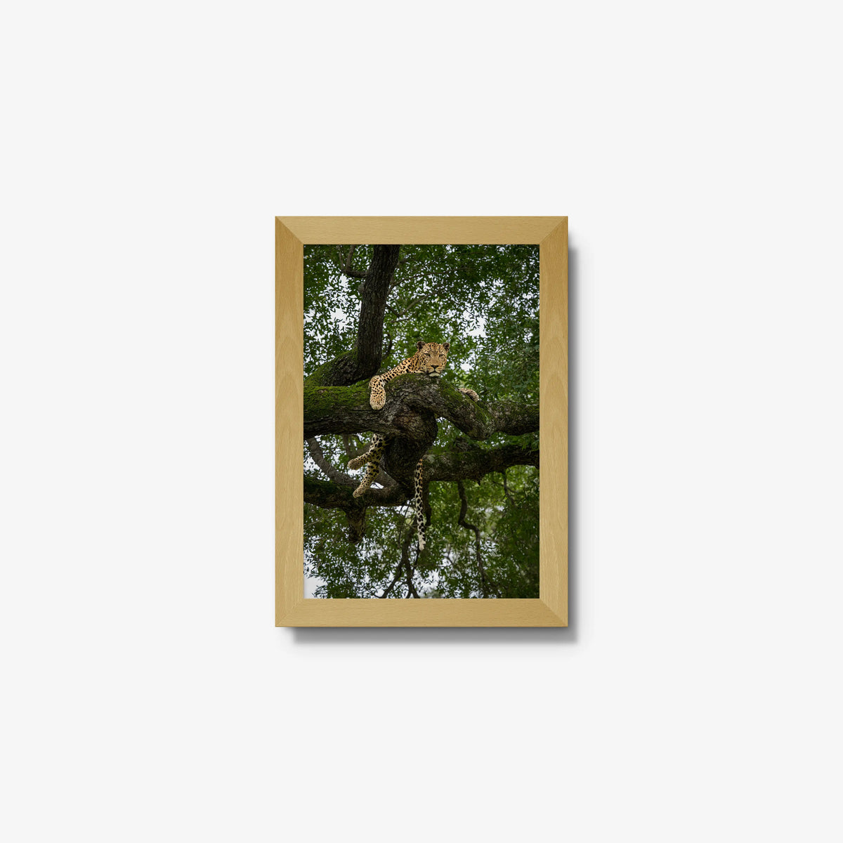 Held by the Branch — mini / natural / full