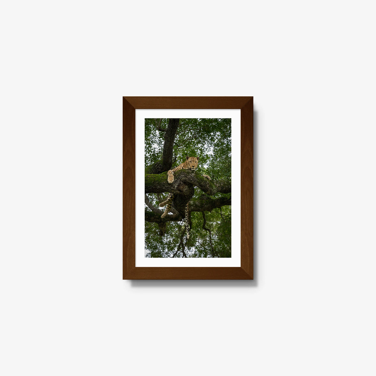 Held by the Branch — mini / brown / mat