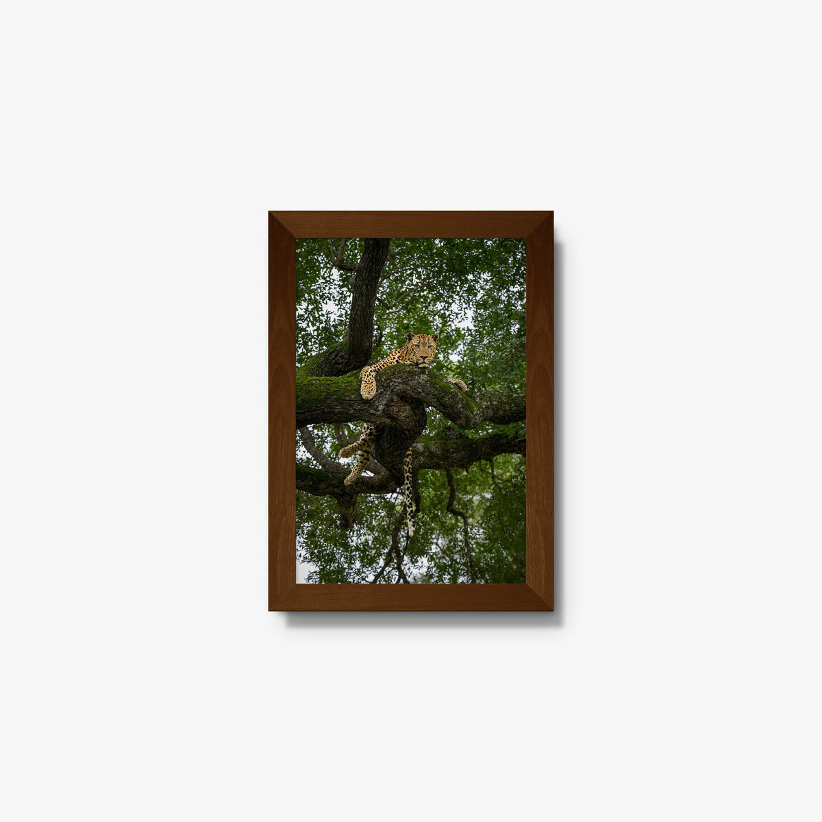 Held by the Branch — mini / brown / full
