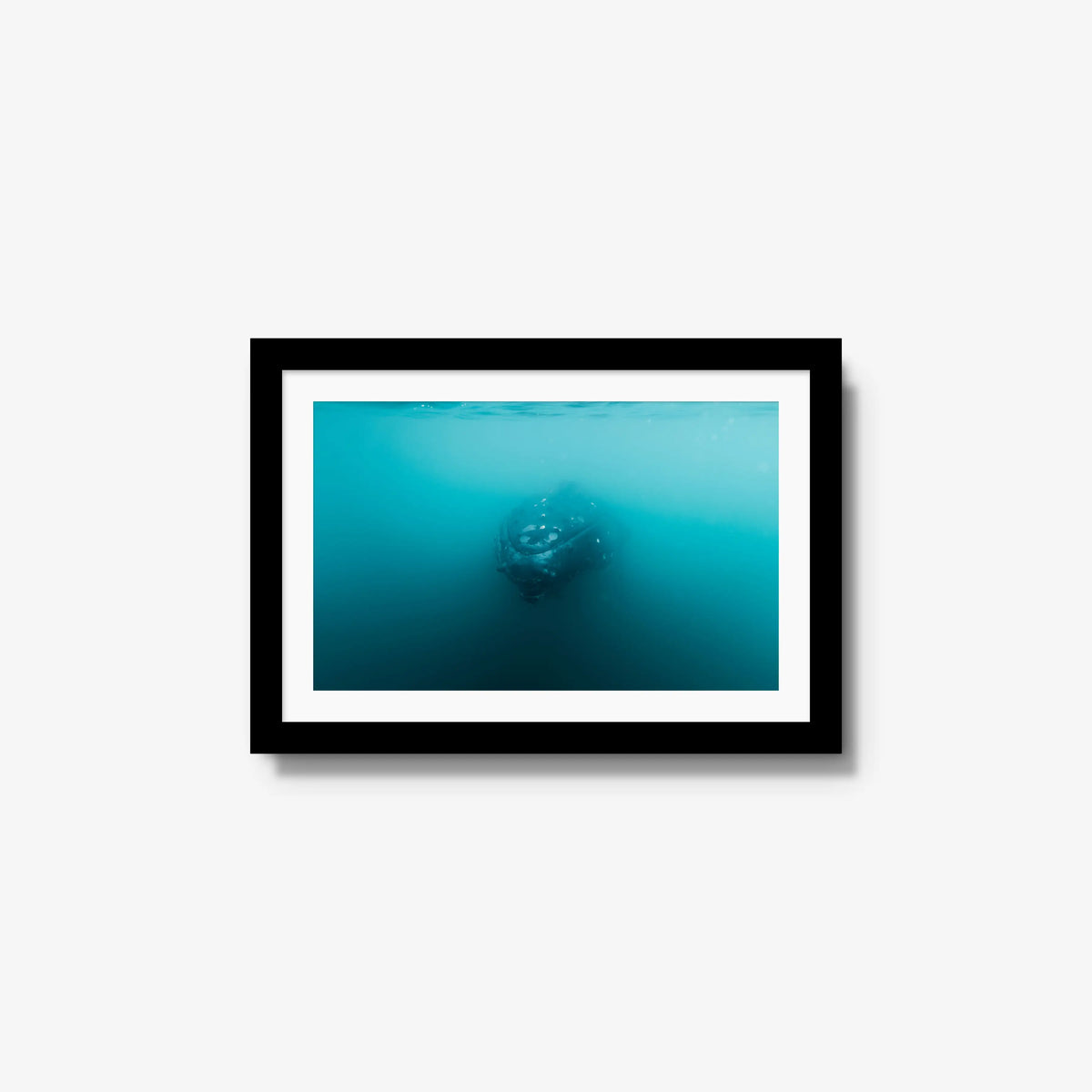 Humpback — small / black / mat
