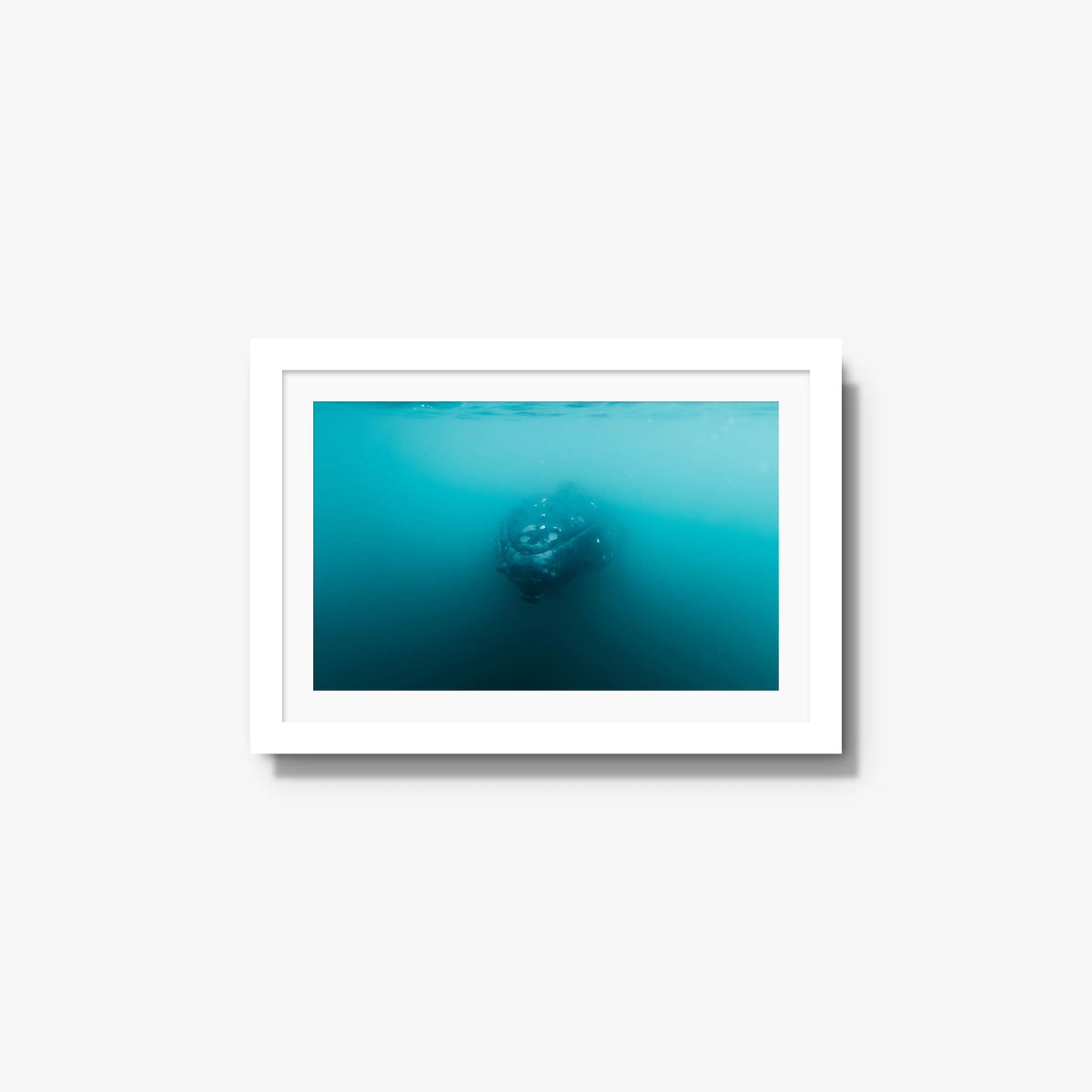 Humpback — small / white / mat