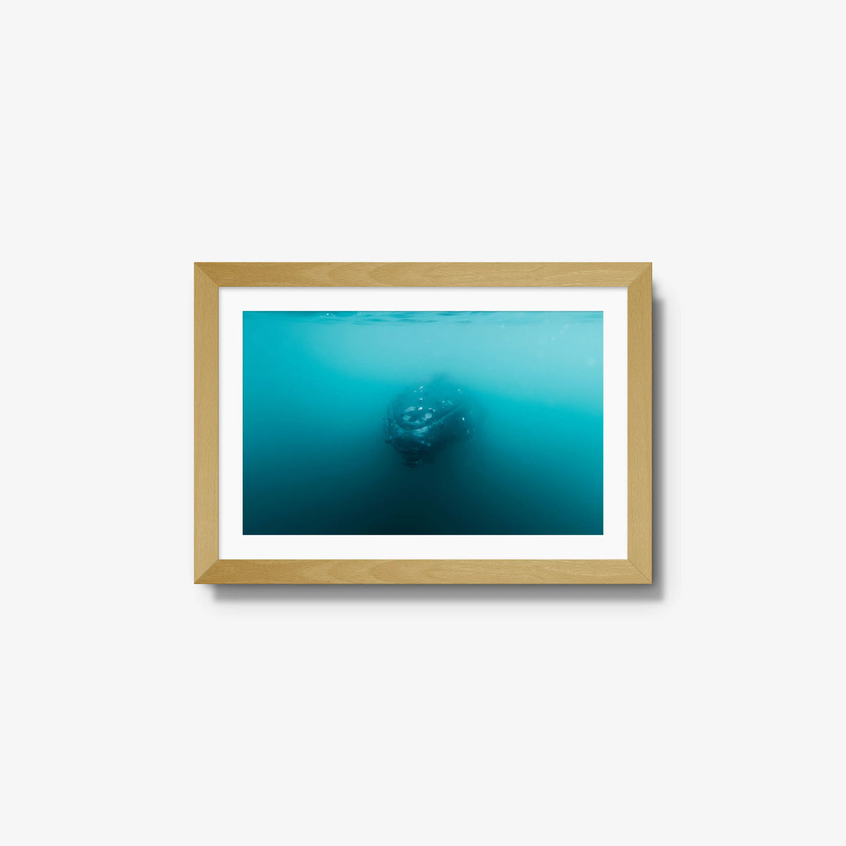 Humpback — small / natural / mat