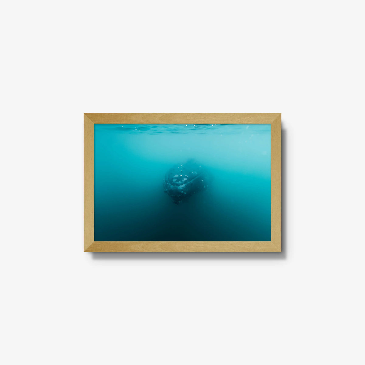 Humpback — small / natural / full