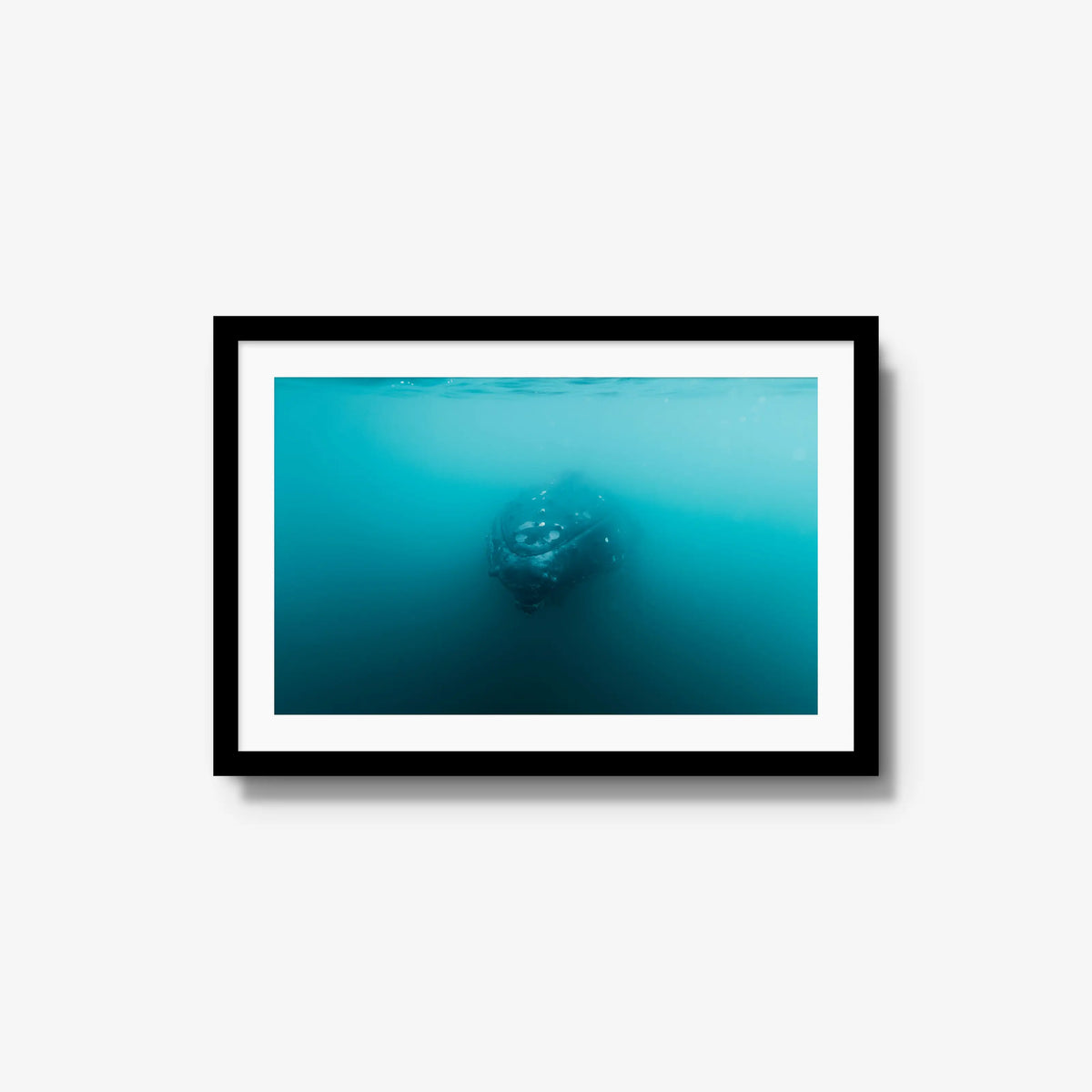Humpback — medium / black / mat