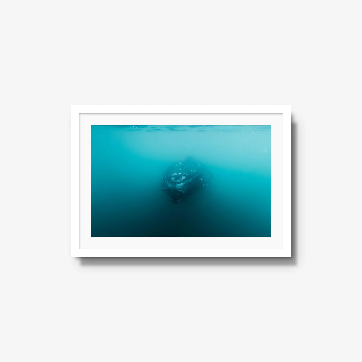 Humpback — medium / white / mat