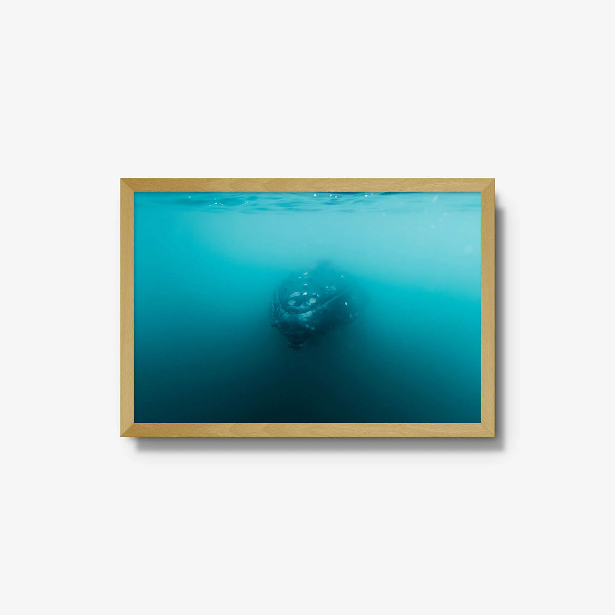 Humpback — medium / natural / full