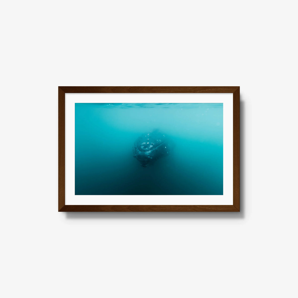 Humpback — medium / brown / mat